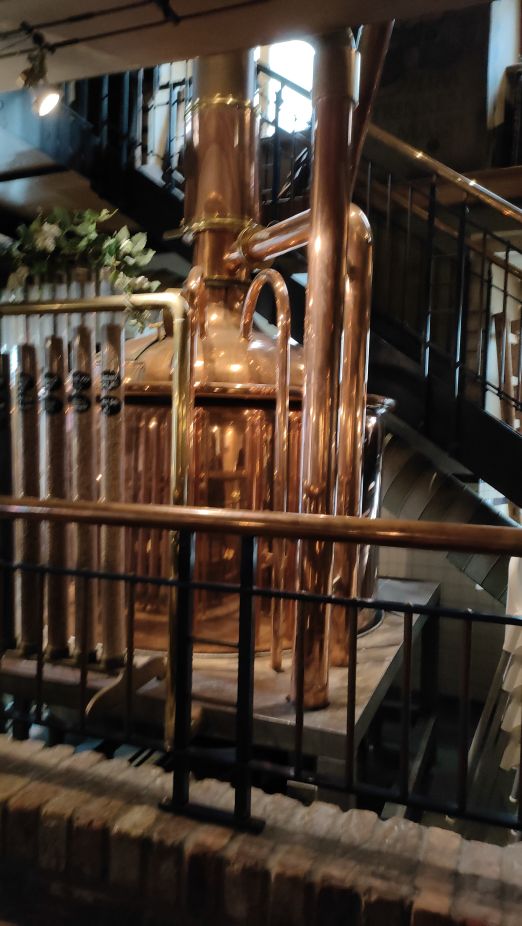 2025-49 Ausflug Regensburg.jpg